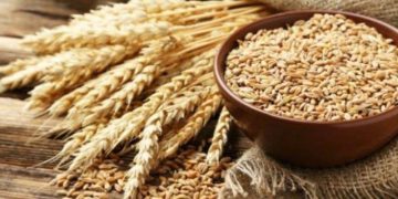 Dầu Thô Giảm Nhẹ Do Sức Mạnh Của Đồng USD Và Nguồn Cung Dầu Dồi Dào Của Mỹ