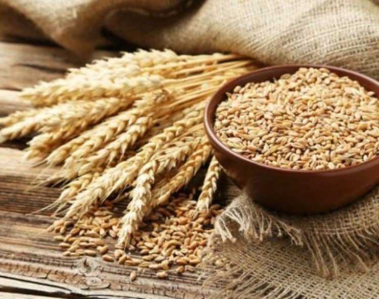 Dầu Thô Giảm Nhẹ Do Sức Mạnh Của Đồng USD Và Nguồn Cung Dầu Dồi Dào Của Mỹ