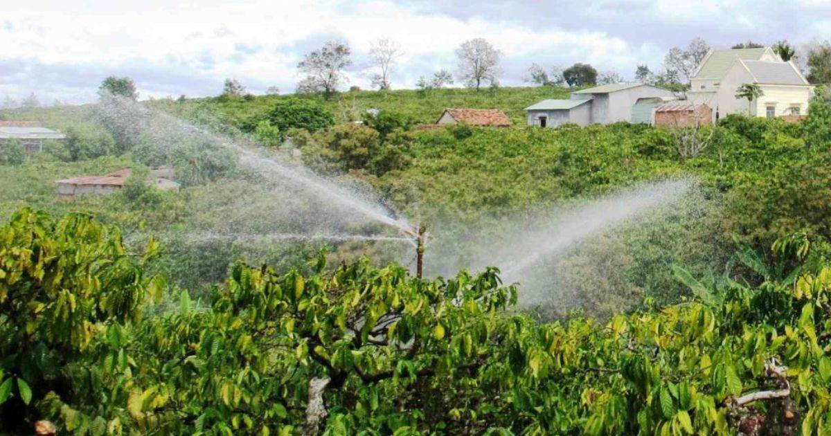 Giá Cà Phê Đóng Cửa Cao Hơn Do Lo Ngại Về Mùa Vụ Cà Phê Toàn Cầu