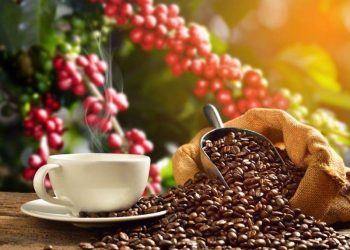 Giá Cà Phê Đóng Cửa Cao Hơn Do Lo Ngại Về Mùa Vụ Cà Phê Toàn Cầu