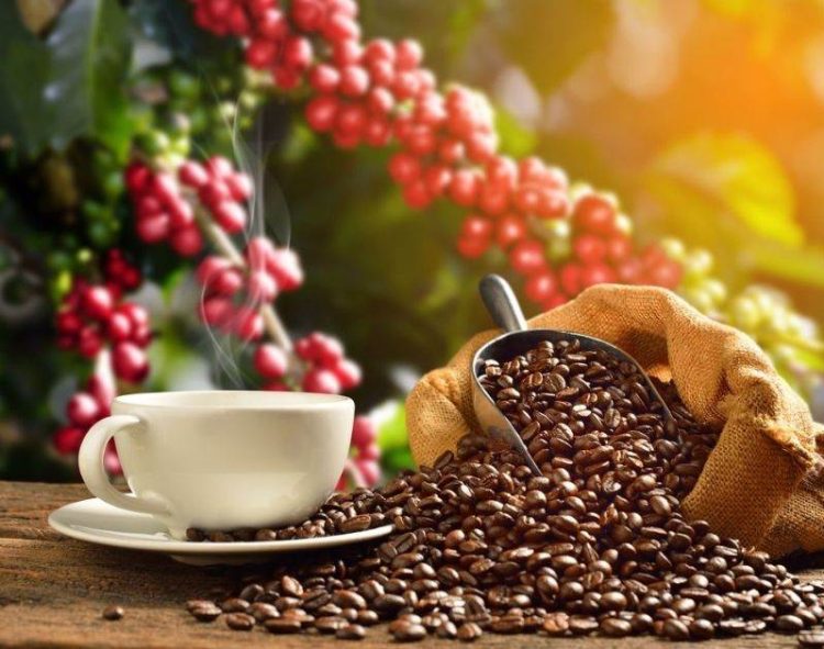 Giá Cà Phê Đóng Cửa Cao Hơn Do Lo Ngại Về Mùa Vụ Cà Phê Toàn Cầu