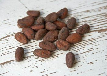 Giá Ca Cao Tăng Cao Hơn Do Sản Lượng Ca Cao Tại Bờ Biển Ngà Giảm