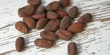 Giá Ca Cao Tăng Cao Hơn Do Sản Lượng Ca Cao Tại Bờ Biển Ngà Giảm