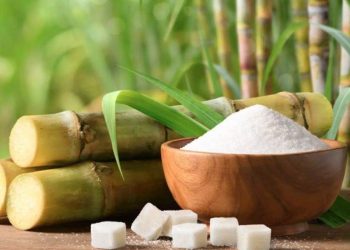 Giá Đường Giảm Nhẹ Do Sản Xuất Đường Mạnh Mẽ Của Brazil