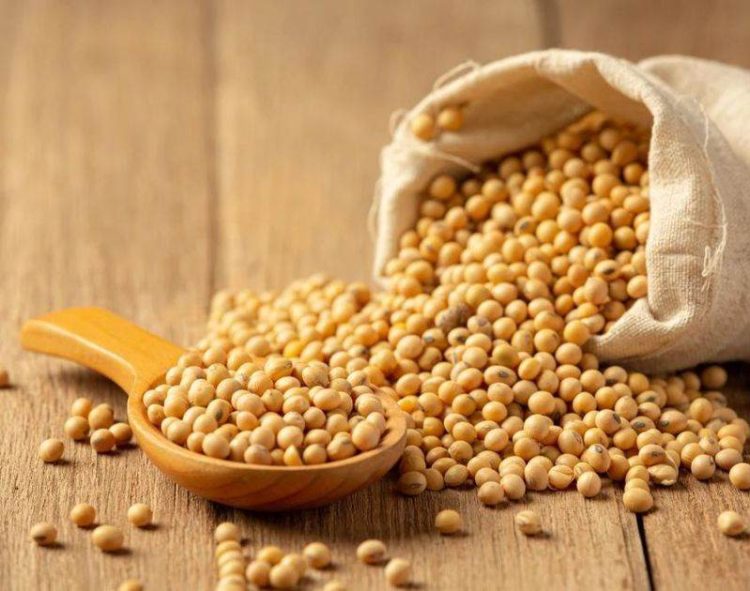 Khối Lượng Chế Biến Đậu Nành Thế Giới Năm 2024/25 MỸ Sẽ Đạt Kỷ Lục Mới