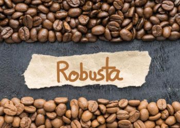 Giá Cà Phê Thế Giới Ngày 20/6 Tăng Mạnh Với Robusta