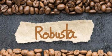 Giá Cà Phê Thế Giới Ngày 20/6 Tăng Mạnh Với Robusta