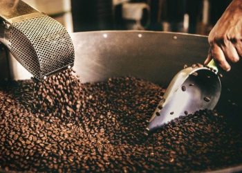 Một Số Trang Trại Cà Phê Việt Nam Phát Triển Mạnh Bất Chấp Hạn Hán, Nhưng Có Thể Không Ngăn Được Giá Espresso Tăng Cao