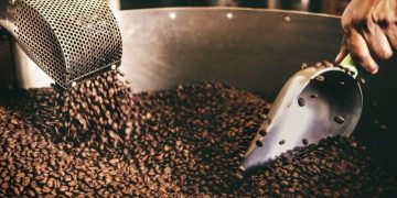 Một Số Trang Trại Cà Phê Việt Nam Phát Triển Mạnh Bất Chấp Hạn Hán, Nhưng Có Thể Không Ngăn Được Giá Espresso Tăng Cao