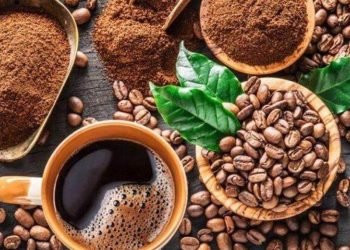 Giá Cà Phê Đầu Tuần 24/6 Cùng Giảm Mạnh