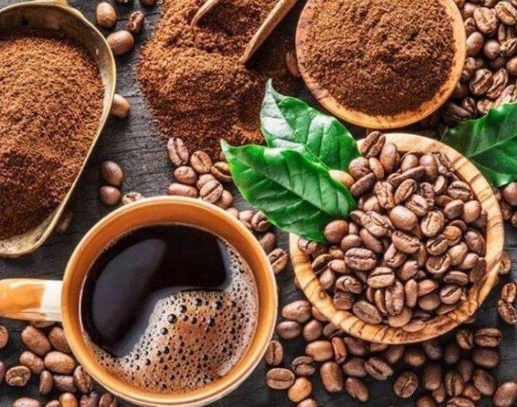 Giá Cà Phê Đầu Tuần 24/6 Cùng Giảm Mạnh