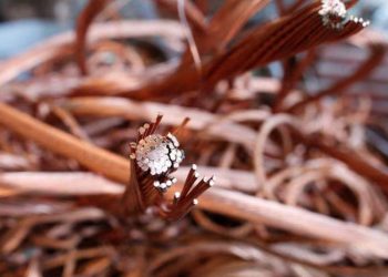 Dự Trữ Đồng Tăng Vọt Nhưng Không Mấy Giúp Đỡ Cho Những Nhà Đầu Cơ Bán Khống Trên Sàn CME