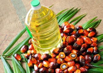 Giá Dầu Cọ Malaysia Giảm Xuống Mức Thấp Nhất