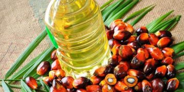 Giá Dầu Cọ Malaysia Giảm Xuống Mức Thấp Nhất