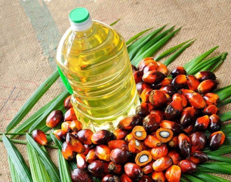 Giá Dầu Cọ Malaysia Giảm Xuống Mức Thấp Nhất