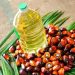 Giá Dầu Cọ Malaysia Giảm Xuống Mức Thấp Nhất
