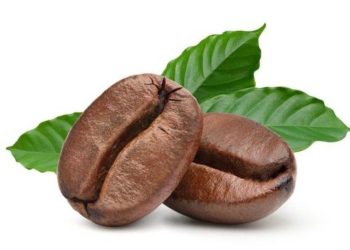 Giá Cà Phê Arabica Đóng Cửa Cao Hơn Do Lo Ngại Về Sản Xuất Ở Brazil