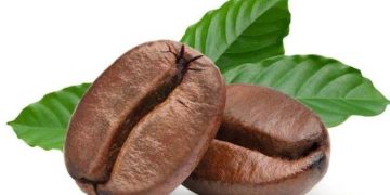 Giá Cà Phê Arabica Đóng Cửa Cao Hơn Do Lo Ngại Về Sản Xuất Ở Brazil