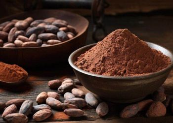 Giá Cacao Giảm Do Điều Kiện Thời Tiết Được Cải Thiện Ở Tây Phi