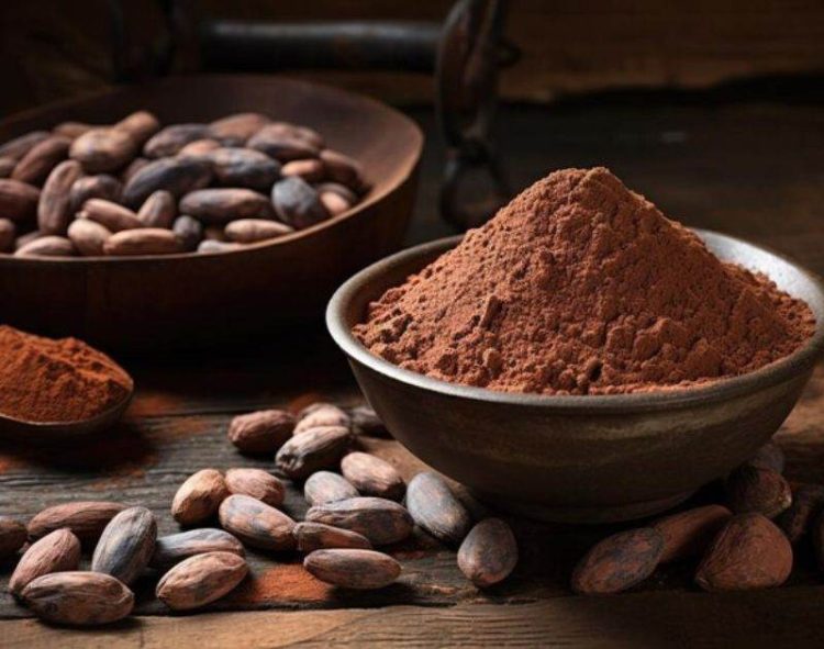Giá Cacao Giảm Do Điều Kiện Thời Tiết Được Cải Thiện Ở Tây Phi