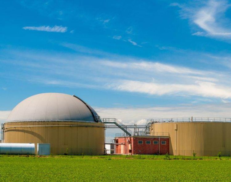 Giá Dầu Giảm Hơn 1% Sau Khi Thoát Khỏi Thiệt Hại Nghiêm Trọng Từ Bão Beryl