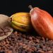 Giá Cacao Đóng Cửa Tăng Mạnh Do Sản Lượng Cacao Giảm Tại Bờ Biển Ngà