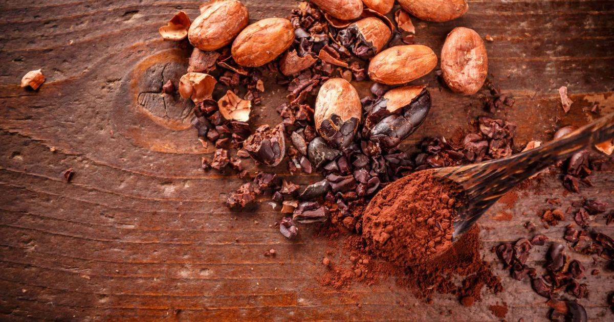 Giá Cacao Đóng Cửa Tăng Mạnh Do Sản Lượng Cacao Giảm Tại Bờ Biển Ngà