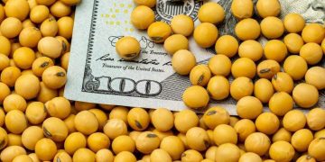 Giá Đậu Tương Tiếp Tục Giảm Bất Chấp Hoạt Động Xuất Khẩu