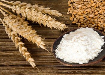 Lúa Mì - Mức Chạm Đáy Mới