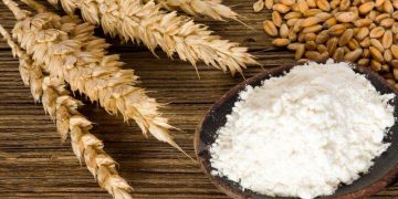 Lúa Mì - Mức Chạm Đáy Mới