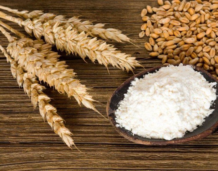 Lúa Mì - Mức Chạm Đáy Mới