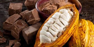 Giá Ca Cao Giảm Do Lo Ngại Rằng Giá Ca Cao Kỷ Lục Gần Đây Sẽ Dẫn Đến Giảm Nhu Cầu