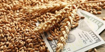 Lúa Mì EU Trượt Xuống Mức Giá Thấp Nhất Kể Từ Tháng 4 Do Áp Lực Về Nguồn Cung Vẫn Tồn Tại