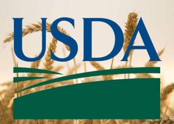 Các Nhà Phân Tích Của Bộ Nông Nghiệp Mỹ Usda Nâng Dự Báo Sản Lượng Lúa Mì Thế Giới Chủ Yếu Do Tác Động Của Thị Trường Mỹ Mỹ