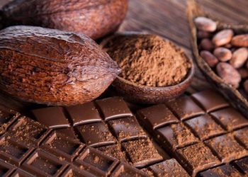 Giá Cacao Tăng Mạnh Do Sản Lượng Cacao Giảm Ở Bờ Biển Ngà
