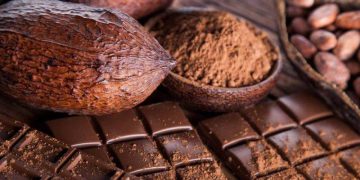 Giá Cacao Tăng Mạnh Do Sản Lượng Cacao Giảm Ở Bờ Biển Ngà