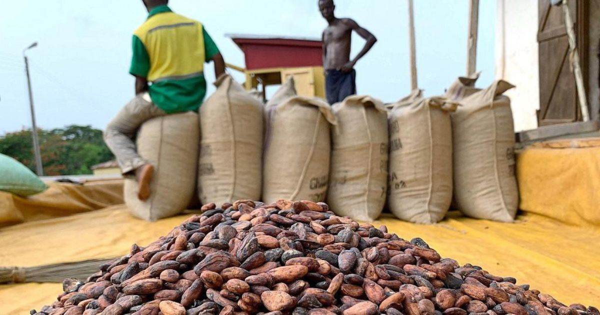 Giá Cacao Tăng Mạnh Do Sản Lượng Cacao Giảm Ở Bờ Biển Ngà