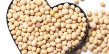 Giá Đậu Tương Giữ Vững Mức Tăng