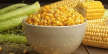 Ngô Đảo Chiều Tăng Trở Lại