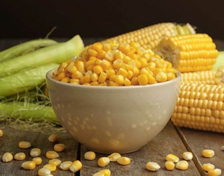 Ngô Đảo Chiều Tăng Trở Lại