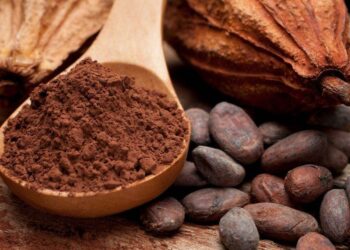 Giá Cacao Giảm Do Điều Kiện Thời Tiết Thuận Lợi Tại Tây Phi
