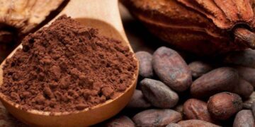 Giá Cacao Giảm Do Điều Kiện Thời Tiết Thuận Lợi Tại Tây Phi