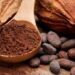 Giá Cacao Giảm Do Điều Kiện Thời Tiết Thuận Lợi Tại Tây Phi