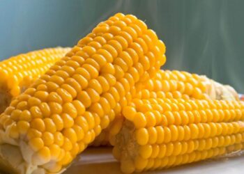 Giá Ngô Tăng Nhẹ Vào Giữa Phiên Giao Dịch