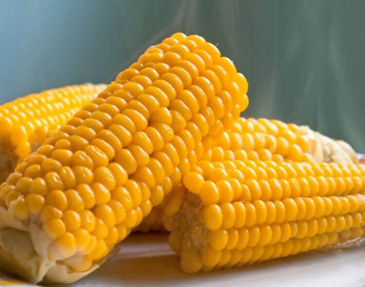 Giá Ngô Tăng Nhẹ Vào Giữa Phiên Giao Dịch