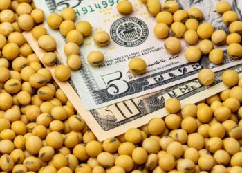 Giá Đậu Tương Biến Động Vào Hôm Nay, Với Đậu Tương Vụ Trước Được Hỗ Trợ Bởi Giá Khô Đậu Nành