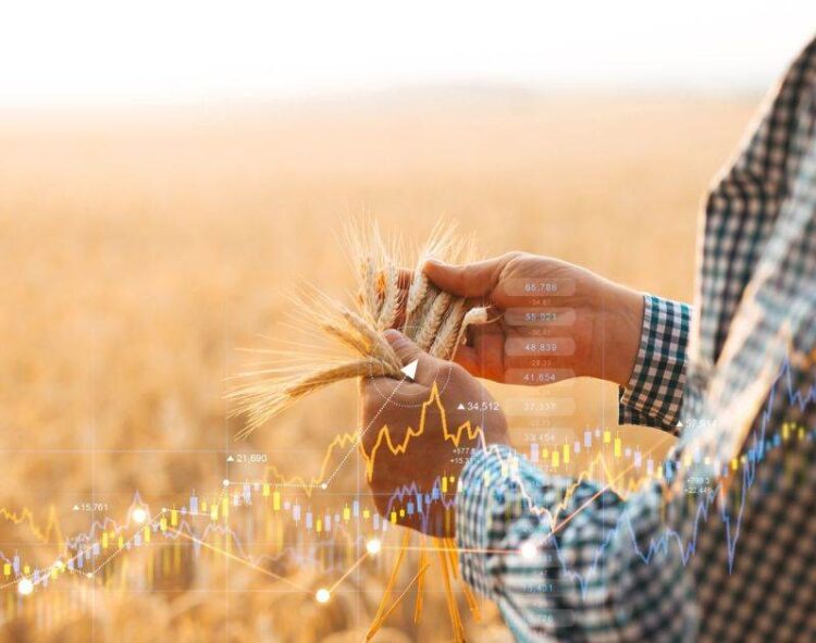 Giá Lúa Mì Đóng Cửa Hỗn Hợp Trên Ba Loại