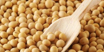 Đậu Tương Đảo Chiều Tăng Giá Nhờ Xuất Khẩu