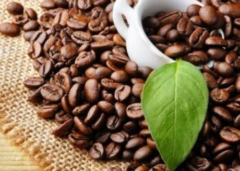 Giá Cà Phê Tăng Trở Lại Do Lo Ngại Thiếu Hụt Nguồn Cung