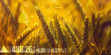 Lúa Mì Tăng Giá Khi Lúa Mì Đông Tăng Trưởng